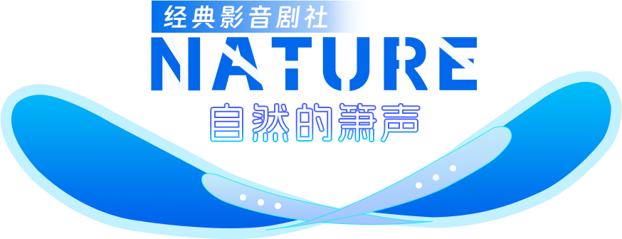 心定义前端